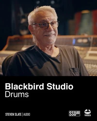 Blackbird Studio Drum Expansion