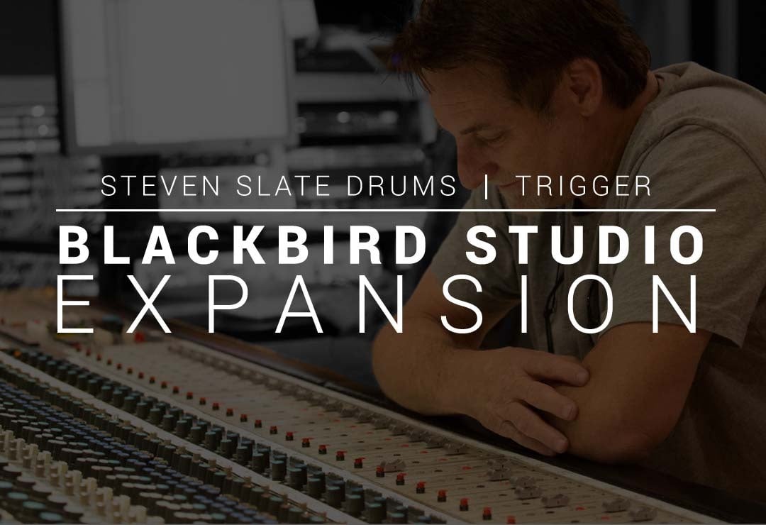 Blackbird Studio Expnansion Pack
